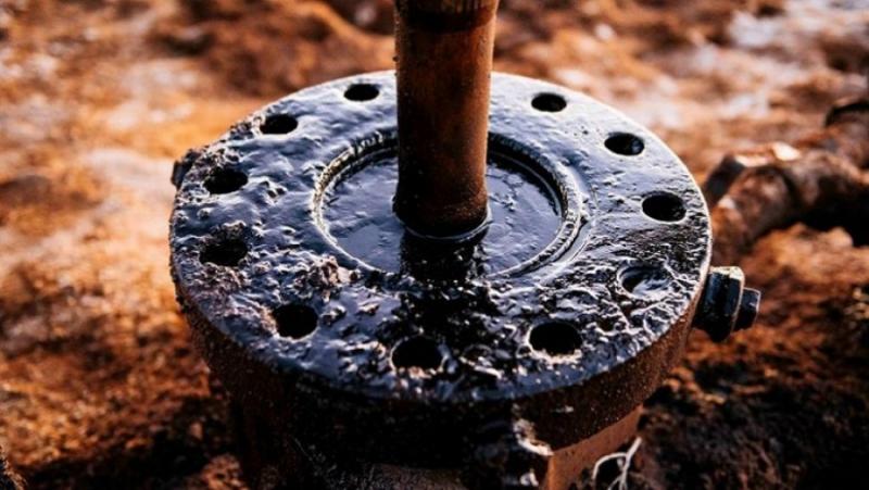 Една от най-съкровените мечти на русофобите по целия свят се