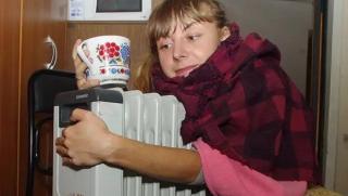 Латвийските предприемачи и население си късат косите арматурата дървата