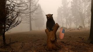 Бегълците са водени от едно общо нещо дълбоко вкоренен страх