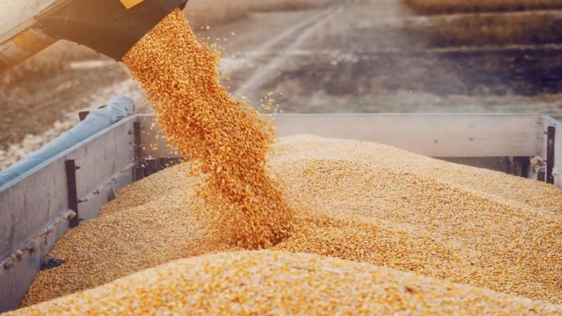 Злочевски Русия е лидер на пазара на пшеница но ние