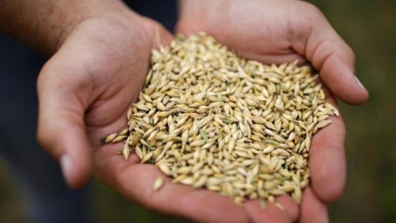 Това не е първият път, когато се чуват тревожни прогнози