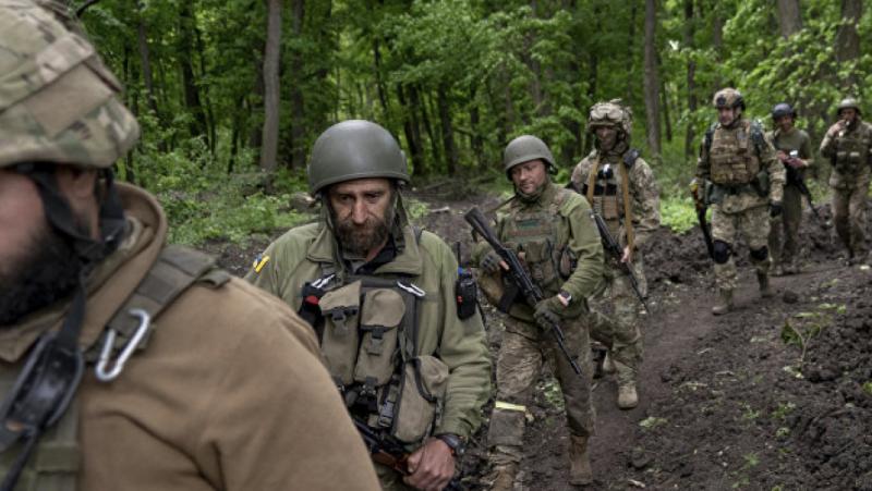 Властите в Киев са зарязали ВСУ да гинат в Донбас,