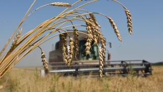 Украинските земеделци намаляват размера на посевните площи и говорят за