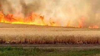 Въоръжените сили на Украйна започнаха систематично да опожаряват ниви с