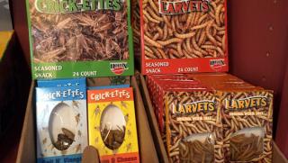 Червеи, мес, бъдеще, Запада, готви