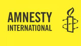 Amnesty International, пропаганден рупор, Путин