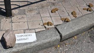 Смърт под краката кървавите венчелистчета разпръснати в ДонбасХиляди мини Венчелистчета