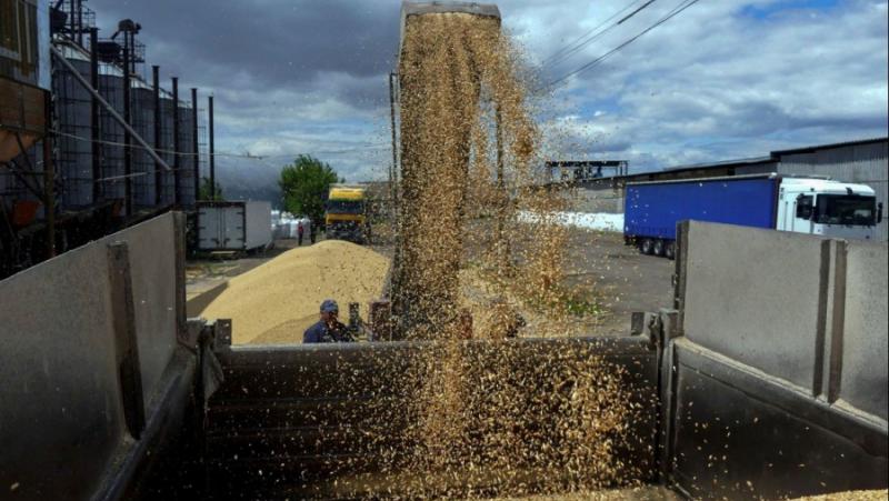 Откриването на зърнен коридор от Украйна донесе ползи само на