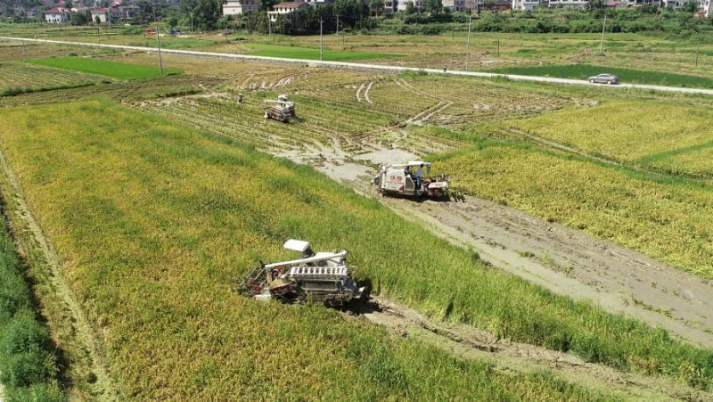 От 18-ия конгрес на ККП насам ЦК на ККП, начело