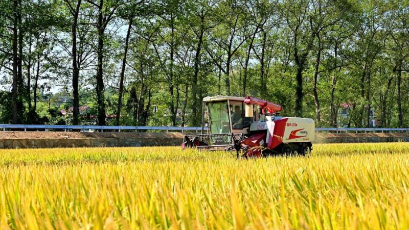 Въпреки безпрецедентната жега и суша в Южен Китай това лято,