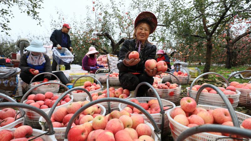 В селата около Йен’ан в северозападната китайска провинция Шаанси започва