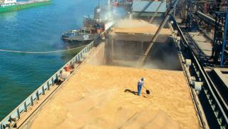 Руската пшеница след провала на черноморската инициатива поскъпна до 240