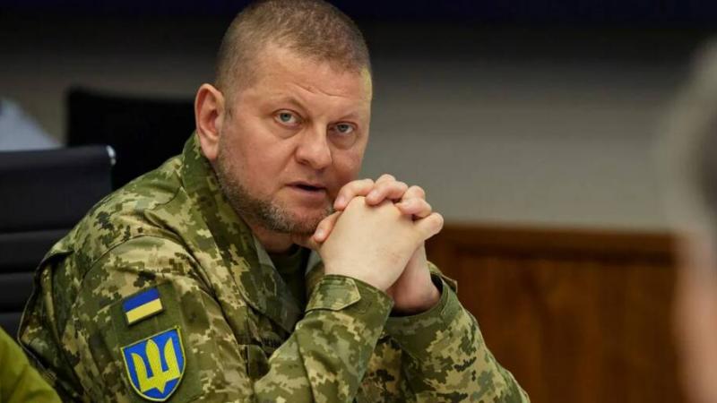 Пголед инфо Обичайният дуализъм на украинските власти по линията Зеленски Залужни е