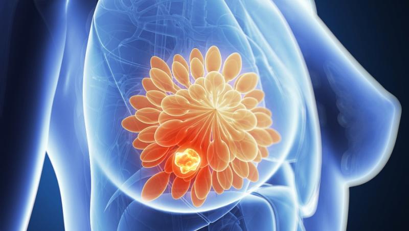 Китайски учени, терапевтична цел, тройния отрицателен рак на гърдата