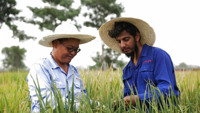 В реч до Международния форум за оказване на помощ с
