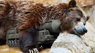За руската мечка в деня на мечкатаНашите животни имат свои