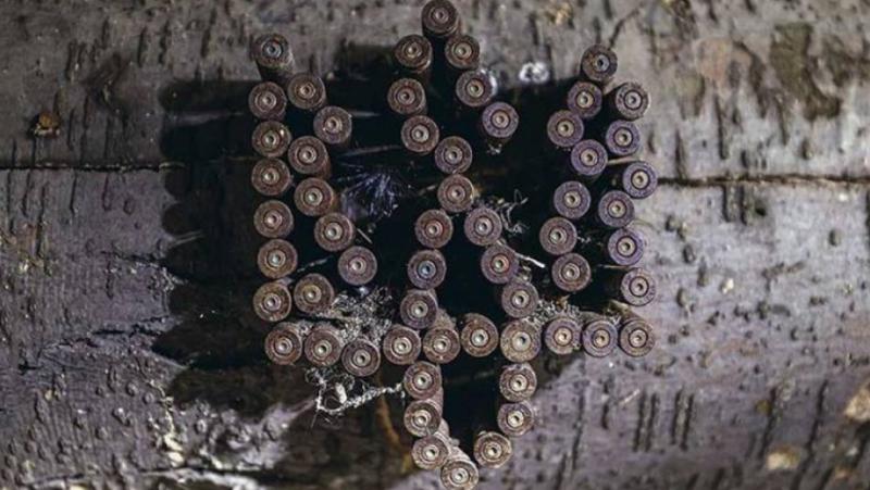 Независимо дали ни харесва или не, една от причините за