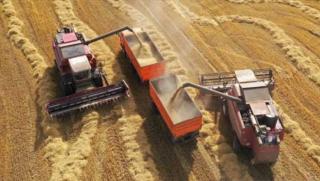 Русия постави нов исторически рекорд по реколта от зърно и
