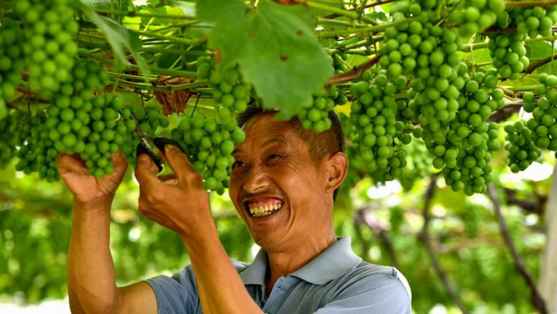 Доходите на избавилите се от бедността жители на Китай са