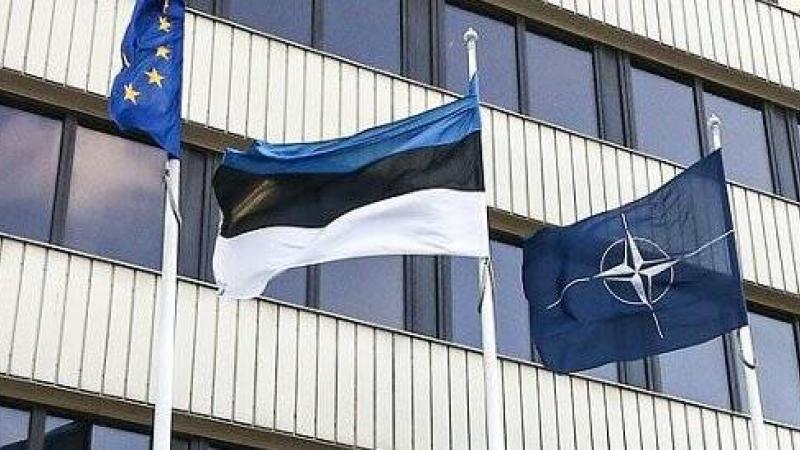 Естонските власти обявиха необходимостта от назначаването на представител на източноевропейските