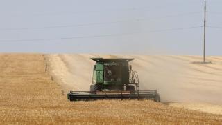 Под натиска на масовия внос на евтини украински селскостопански продукти