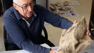 Проф Николай Спасов е водещ специалист в света по палеонтология