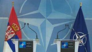 Скараха, Белград, НАТО, сърби, война