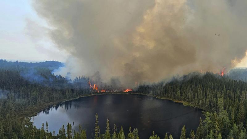 През последните няколко седмици горските пожари продължават да се разпространяват