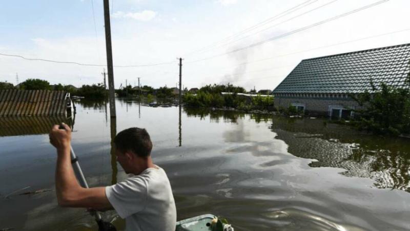 По домашни дрехи, с кучета и котки на ръце продължава