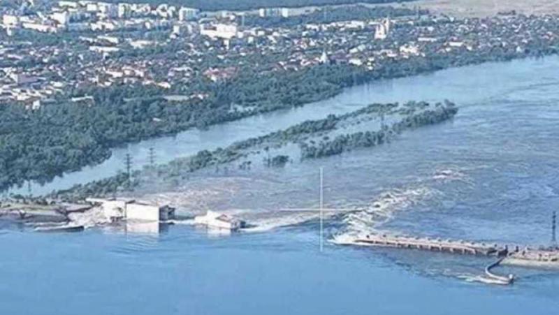 В Москва рядко се срещат, но понякога, най-често на гарите,