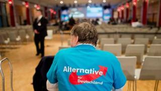 Партия Алтернатива за Германия която се застъпва за възстановяване на