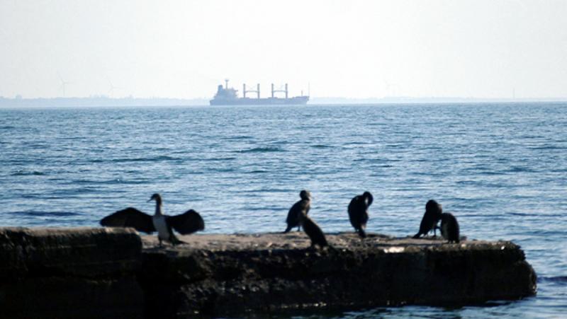 Ако след 90 дни генералният секретар на ООН успее да