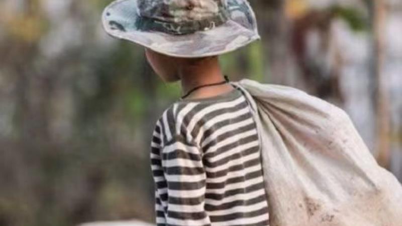 През последните години се наблюдава ръст на незаконния детски труд