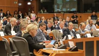 Елена Йончева, Йенс Столтенберг, опасяване, пълномащабна война, Черноморския регион