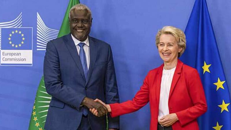 ЕС трябва да демонстрира същото единство спрямо Африка, каквото показа