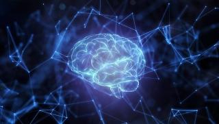 Личностни черти, свързани, риск, мозъчни увреждания, китайски учени