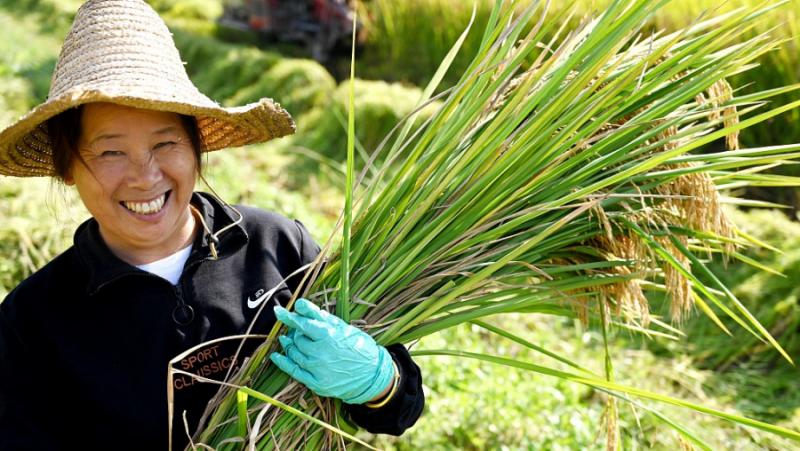 /Пголед.инфо/ Днес е Международният ден за изкореняване на бедността и