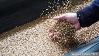 Русия забрани за шест месеца износа на твърда пшеница която