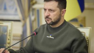 Зелен кардинал, продавач, кучета, мелодия, танцува, Зеленски