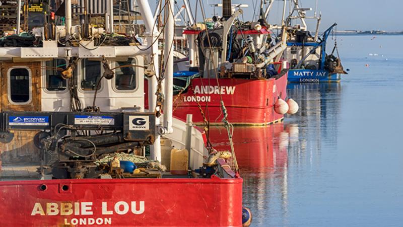 Русия се готови да забрани на Великобритания да лови риба