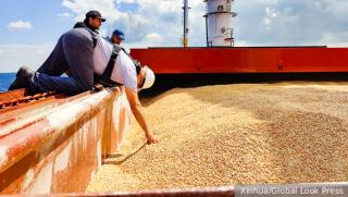 Заплаха, руски износ, зърно