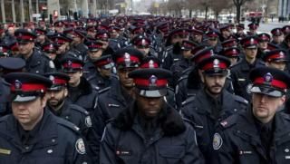 Веселите полицаи, Канада, запалят, по трева