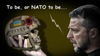 Нито в НАТО, нито в ЕС, Украински проект, финална фаза