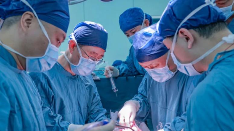 Китайски учени, трансплантираха , черен дроб, прасе, човек