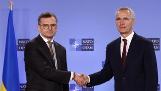 НАТО, приемане, Украйна, на части