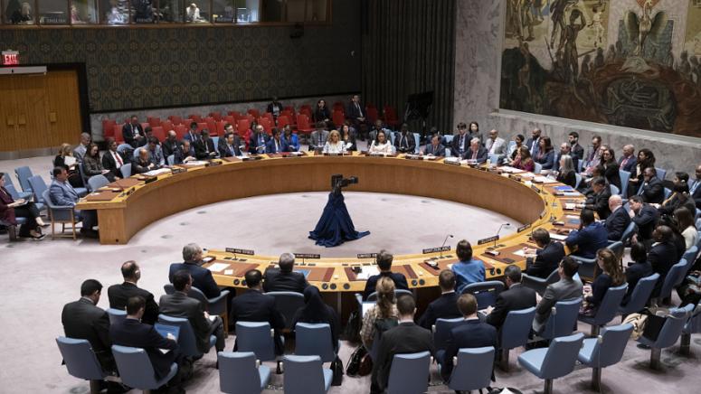 На 14 април, по молба от Израел, Съветът за сигурност