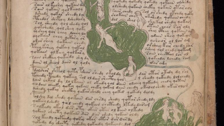 Кодексът от късното Средновековие, известен като Ръкописа на Войнич, се