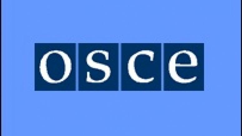 Действащият председател на ОССЕ, малтийският външен министър Ян Борг, пристигна