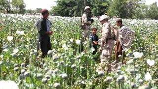 Афганистан, опиум, етнически конфликти, природни катаклизми