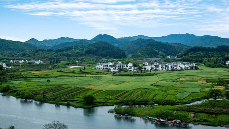 През последните години някои държави са започнали да прилагат протекционистични